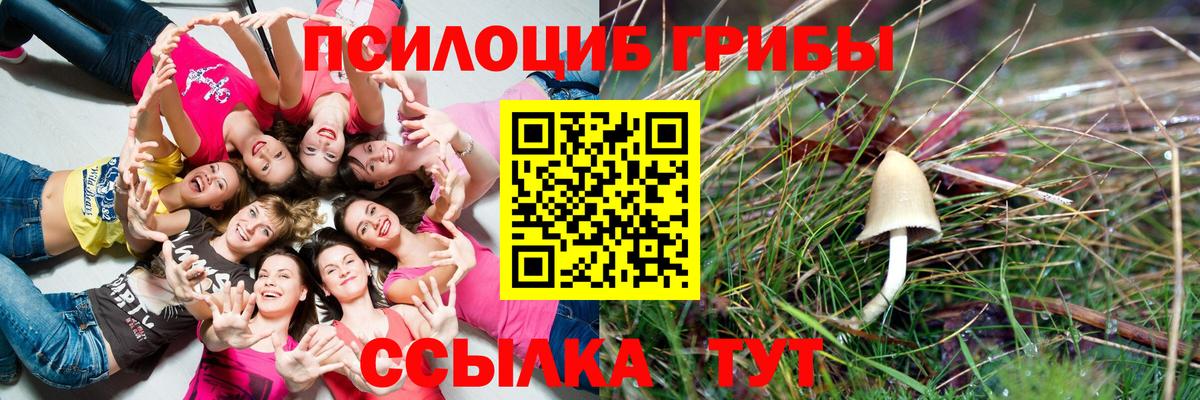 Псилоцибиновые грибы прущие грибы Волгодонск