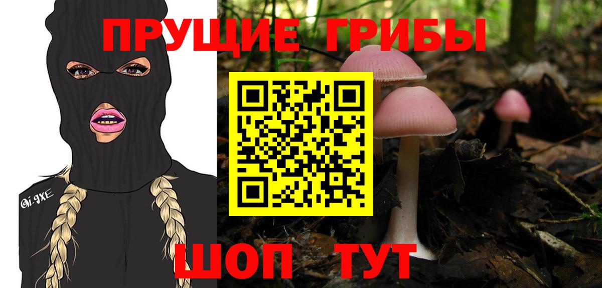 Псилоцибиновые грибы мицелий  Вход с VPN  Волгодонск 